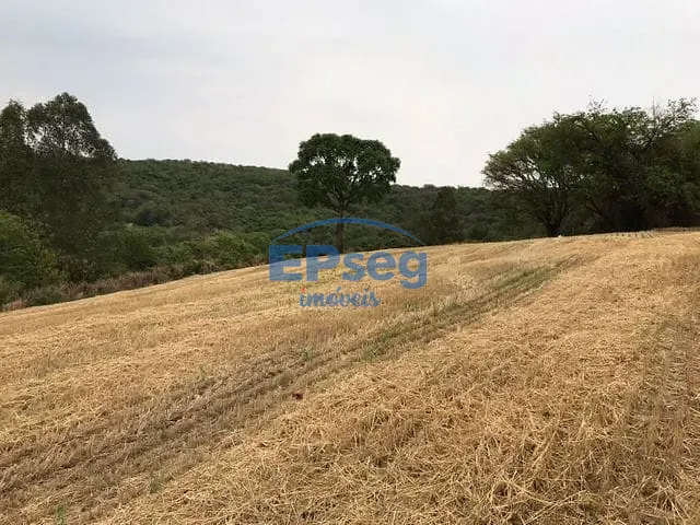Sítio com 332508m², à venda, no bairro Limoeiro em Londrina