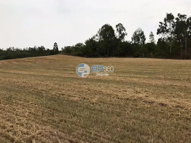 Sítio com 332508m², à venda, no bairro Limoeiro em Londrina