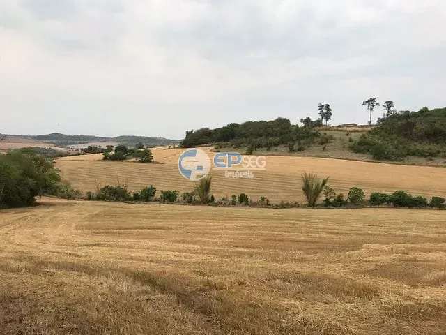 Sítio com 332508m², à venda, no bairro Limoeiro em Londrina