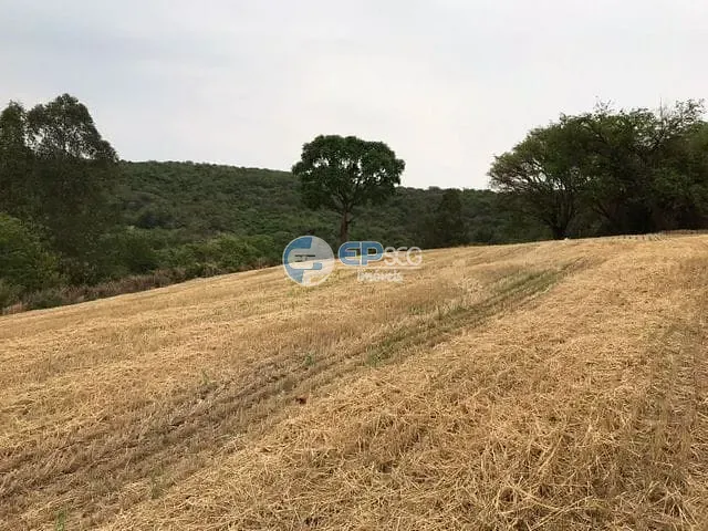 Sítio com 332508m², à venda, no bairro Limoeiro em Londrina