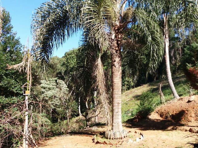 Sítio com 800m² 2 quartos e 2 banheiros, à venda, no bairro SALESOPOLIS em Salesópolis
