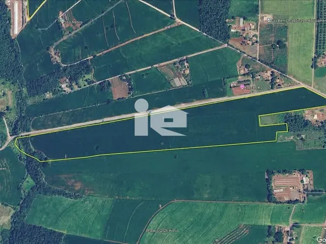 Sítio com 229900m², à venda, no bairro Área Rural de Rolândia em Rolândia
