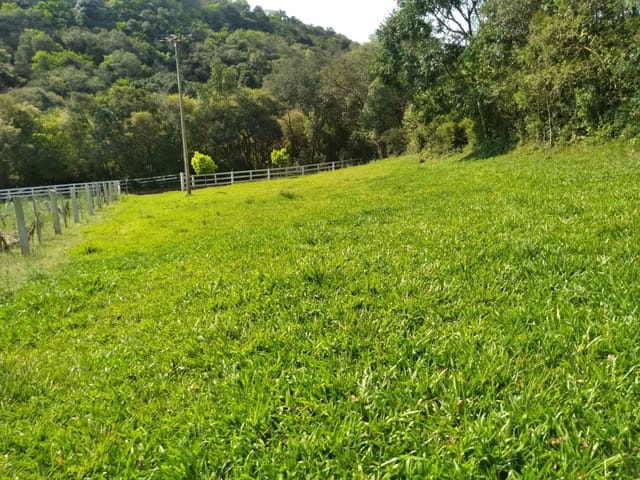 Sítio com 5000m², à venda, no bairro Capela Boa Fé em Nova Bassano