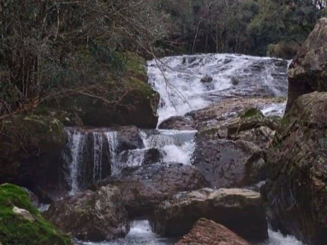 Sítio com 5000m², à venda, no bairro Capela Boa Fé em Nova Bassano