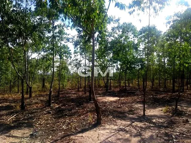 Sítio 1 quarto e 1 banheiro, à venda, no bairro Zona Rural em Cajuru