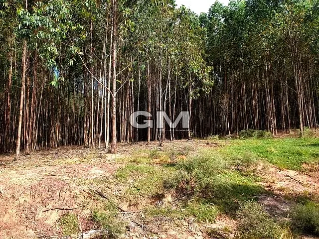 Sítio 1 quarto e 1 banheiro, à venda, no bairro Zona Rural em Cajuru