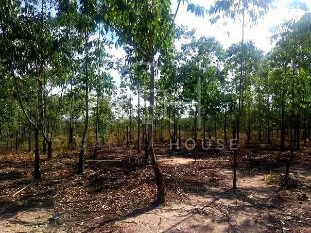Sítio 1 quarto e 1 banheiro, à venda, no bairro Zona Rural em Cajuru