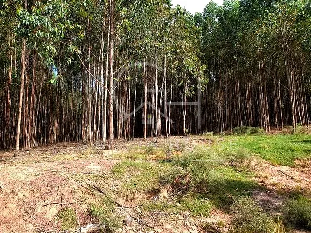 Sítio 1 quarto e 1 banheiro, à venda, no bairro Zona Rural em Cajuru
