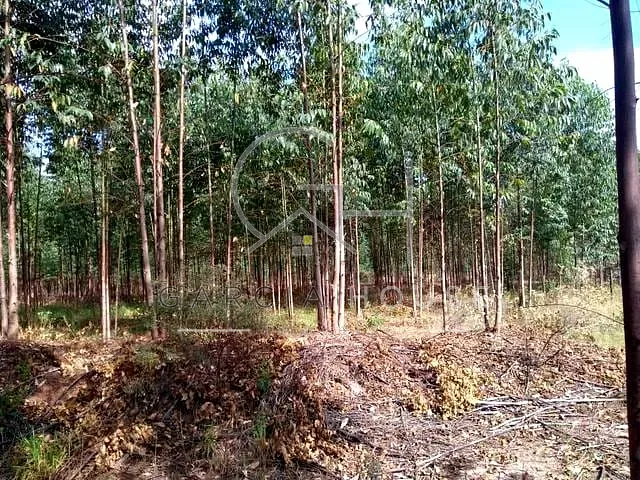 Sítio 1 quarto e 1 banheiro, à venda, no bairro Zona Rural em Cajuru