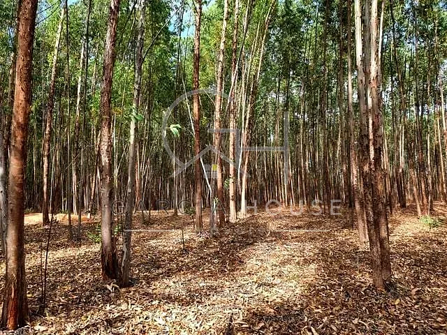 Sítio 1 quarto e 1 banheiro, à venda, no bairro Zona Rural em Cajuru