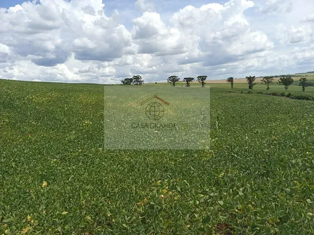 Sítio com 217m², à venda, no bairro Nossa Senhora da Aparecida em Nossa Senhora da Aparecida