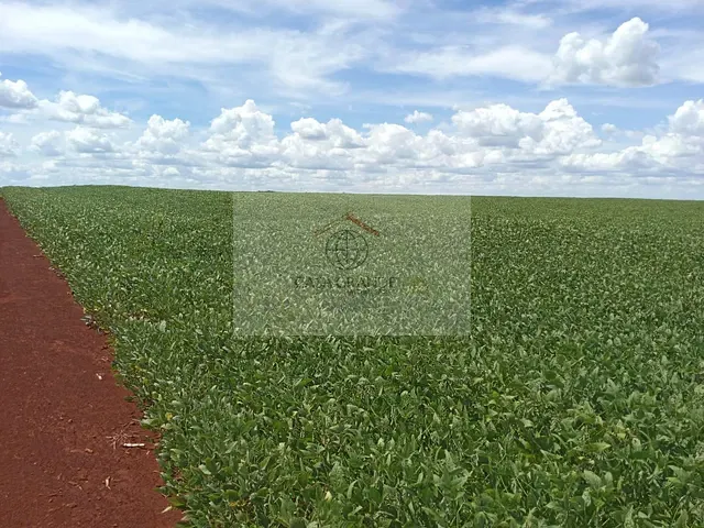 Sítio com 217m², à venda, no bairro Nossa Senhora da Aparecida em Nossa Senhora da Aparecida