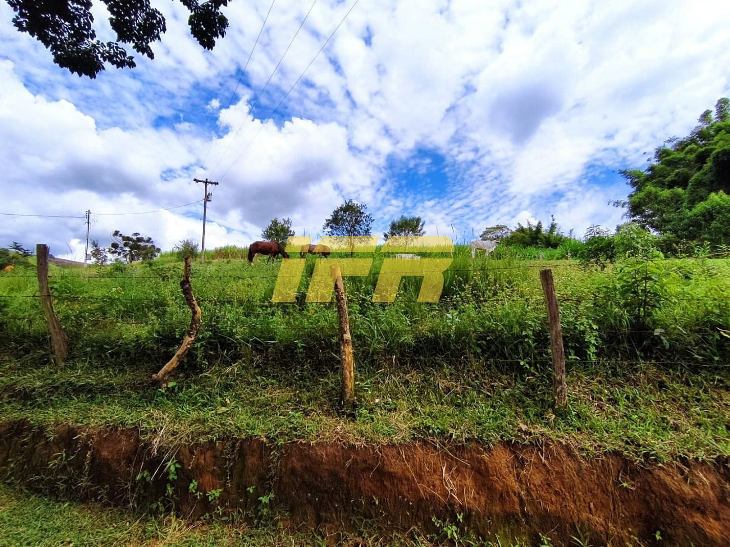 Fazenda, 46 hectares - Foto 2