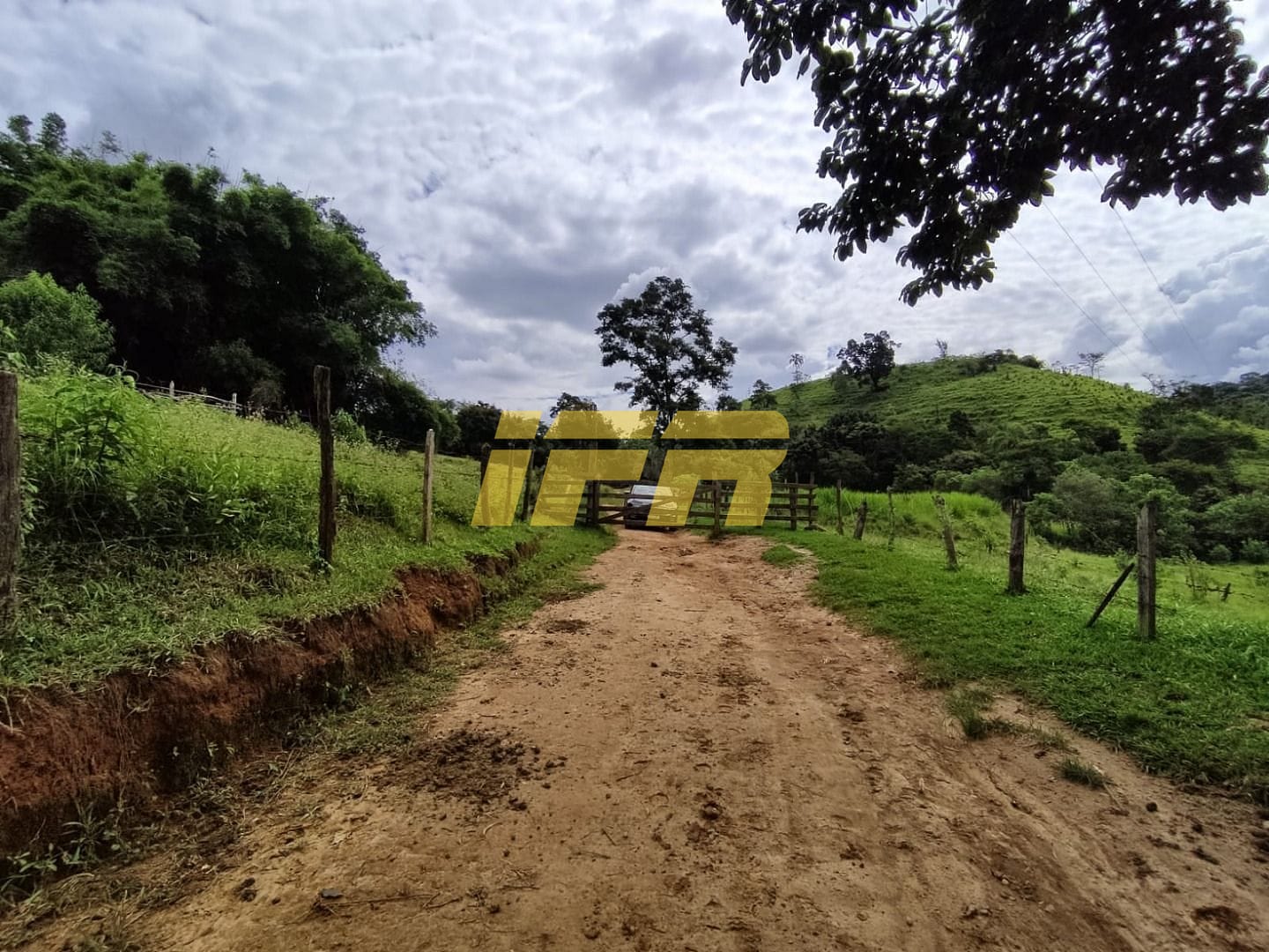 Fazenda, 46 hectares - Foto 6