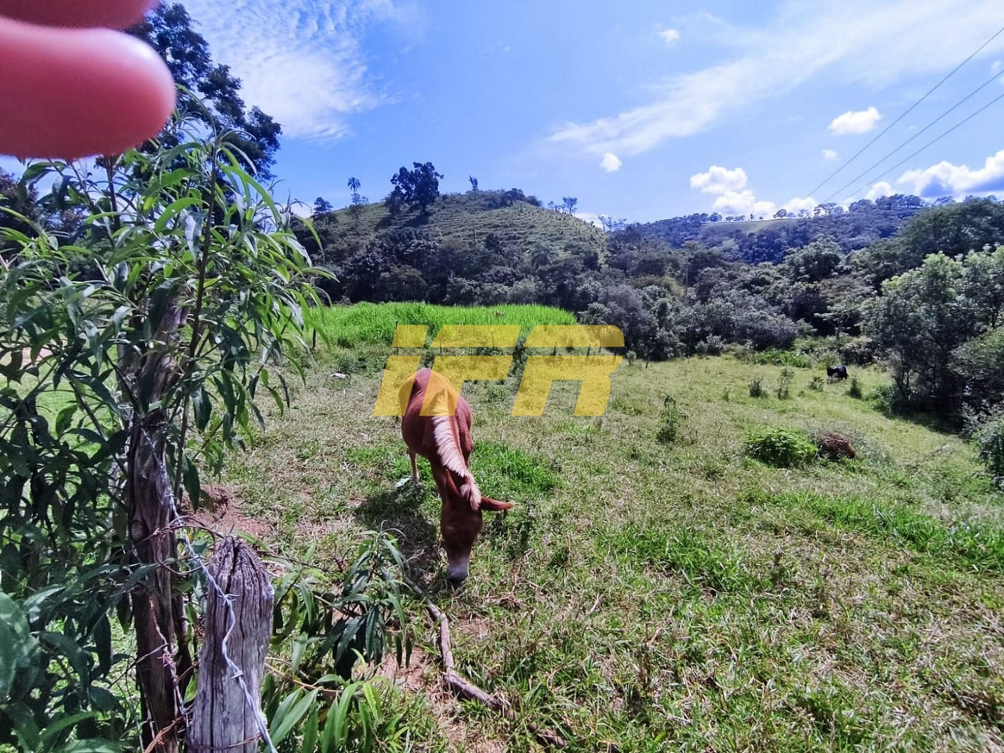 Fazenda, 46 hectares - Foto 54