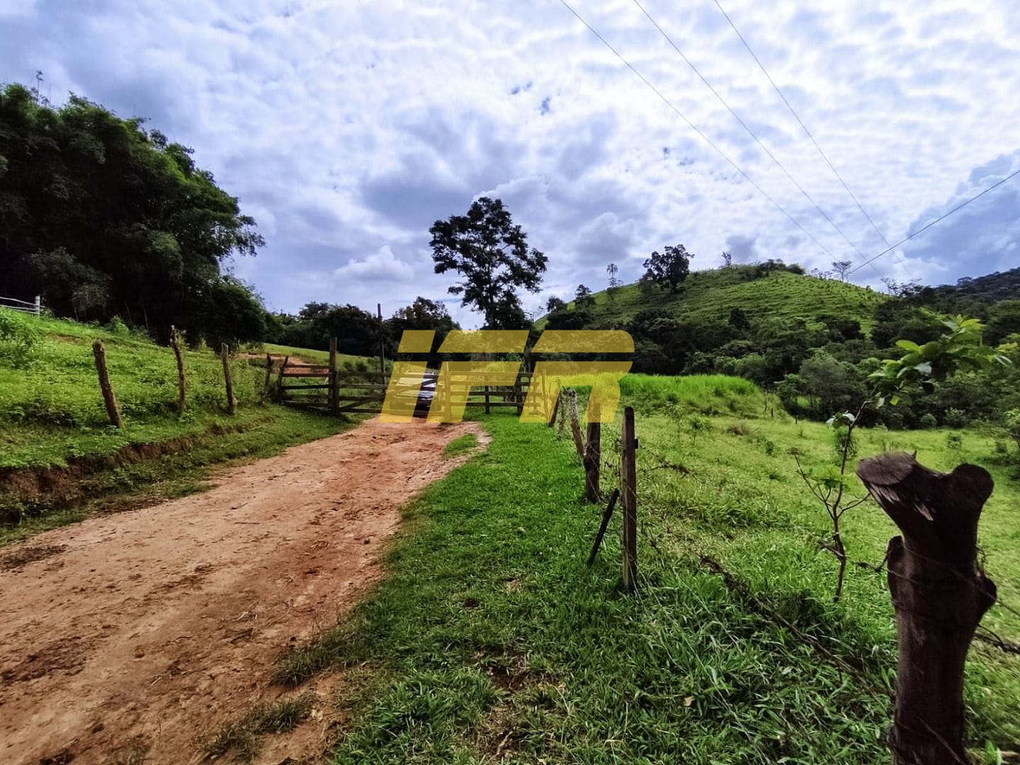 Fazenda, 46 hectares - Foto 3