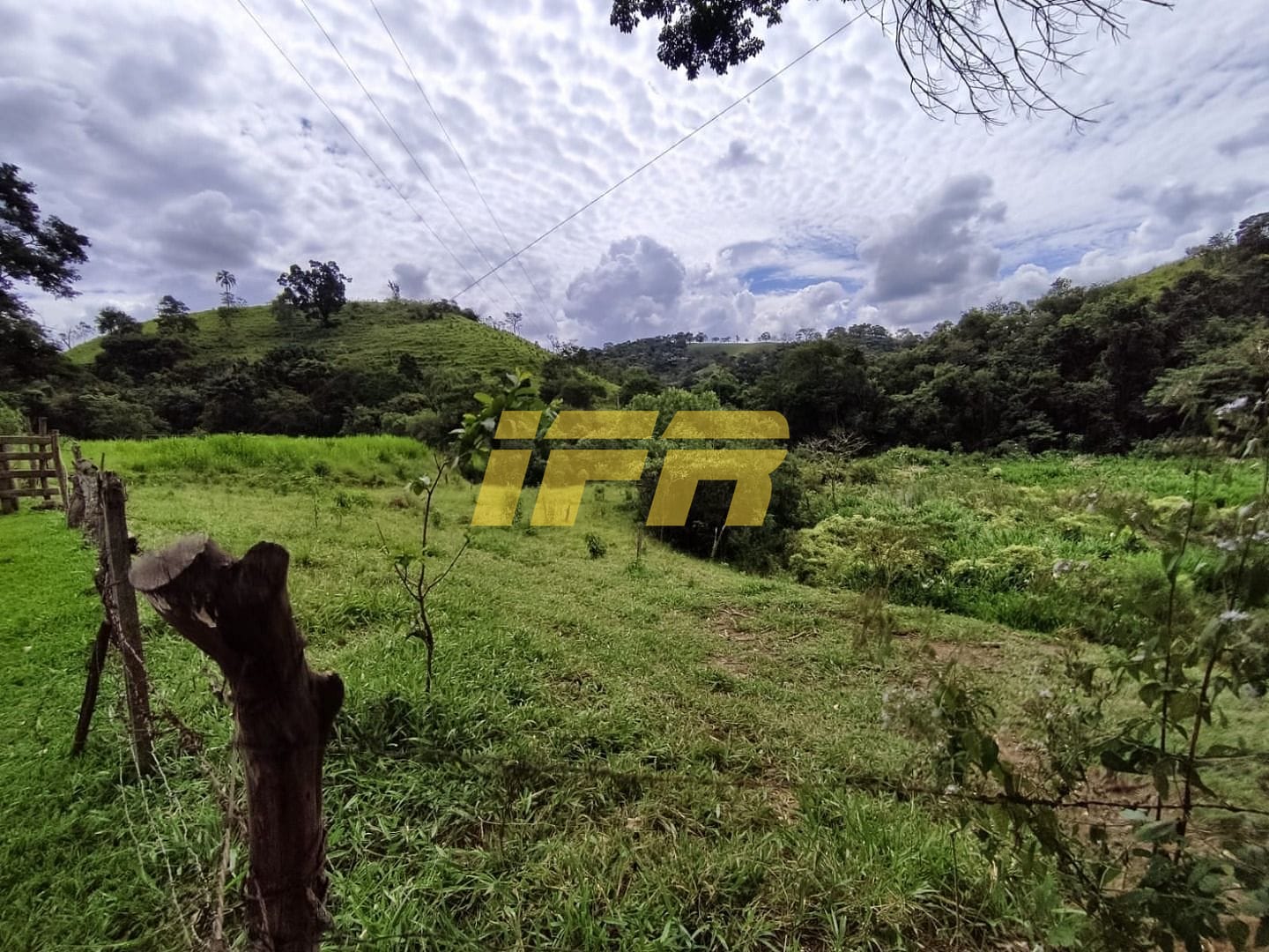 Fazenda, 46 hectares - Foto 4