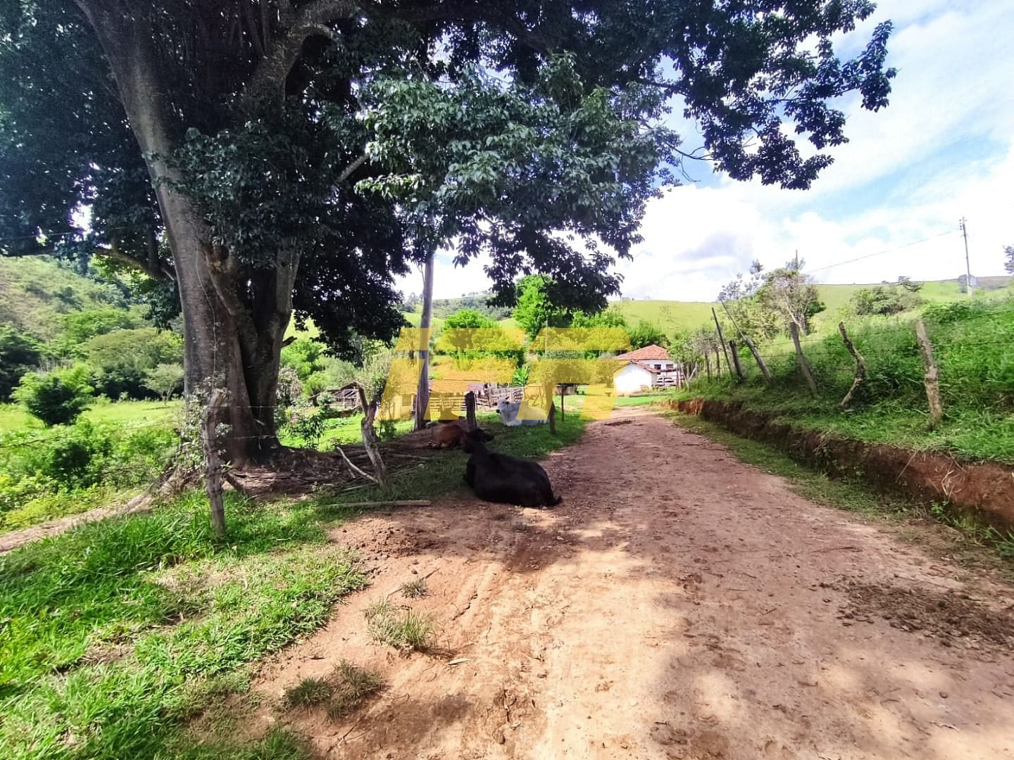 Fazenda, 46 hectares - Foto 52