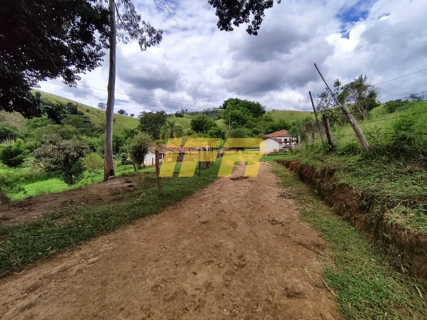 Fazenda, 46 hectares - Foto 5