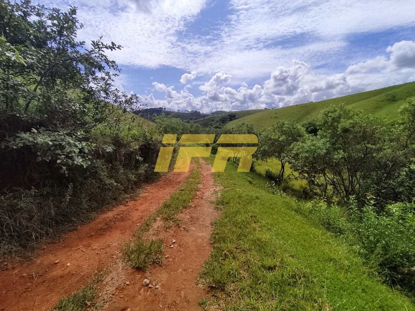 Fazenda, 46 hectares - Foto 20