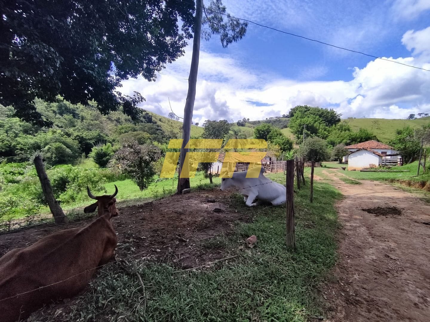 Fazenda, 46 hectares - Foto 53