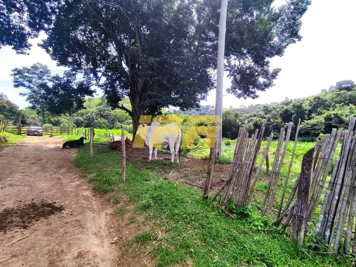 Fazenda, 46 hectares - Foto 51