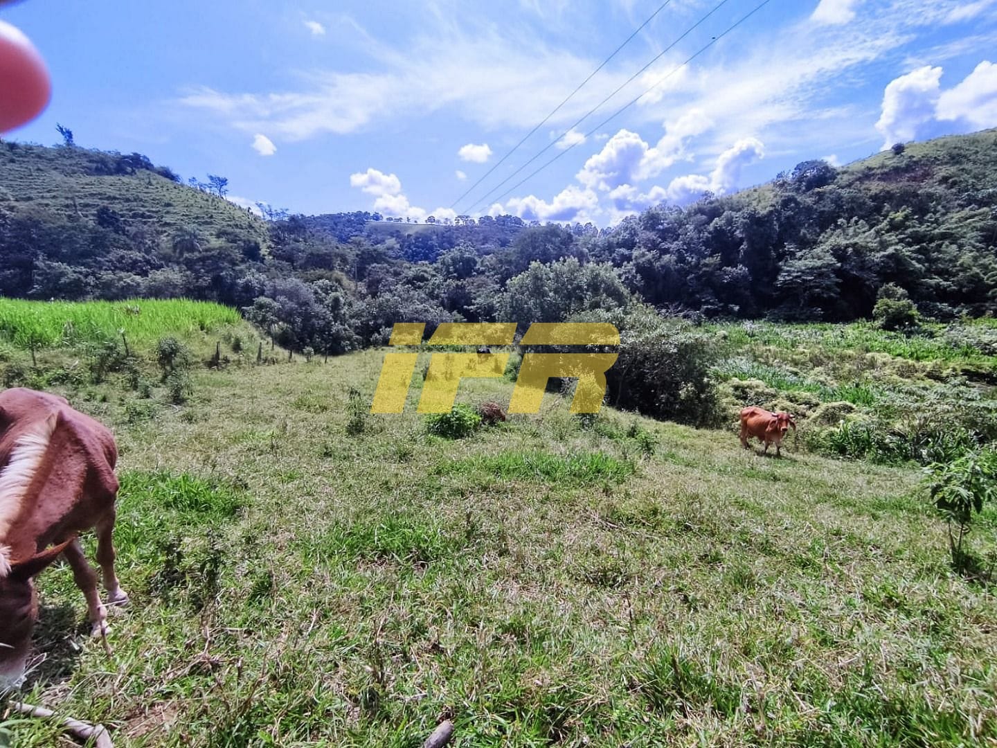 Fazenda, 46 hectares - Foto 57