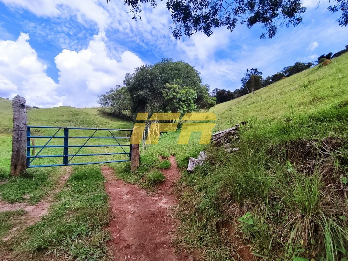 Fazenda, 46 hectares - Foto 25