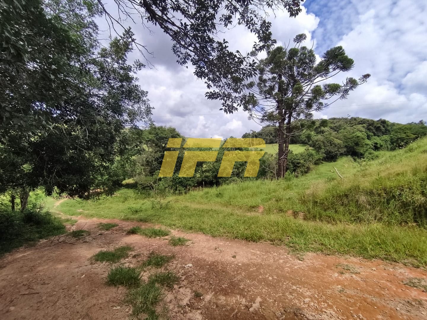 Fazenda, 46 hectares - Foto 16