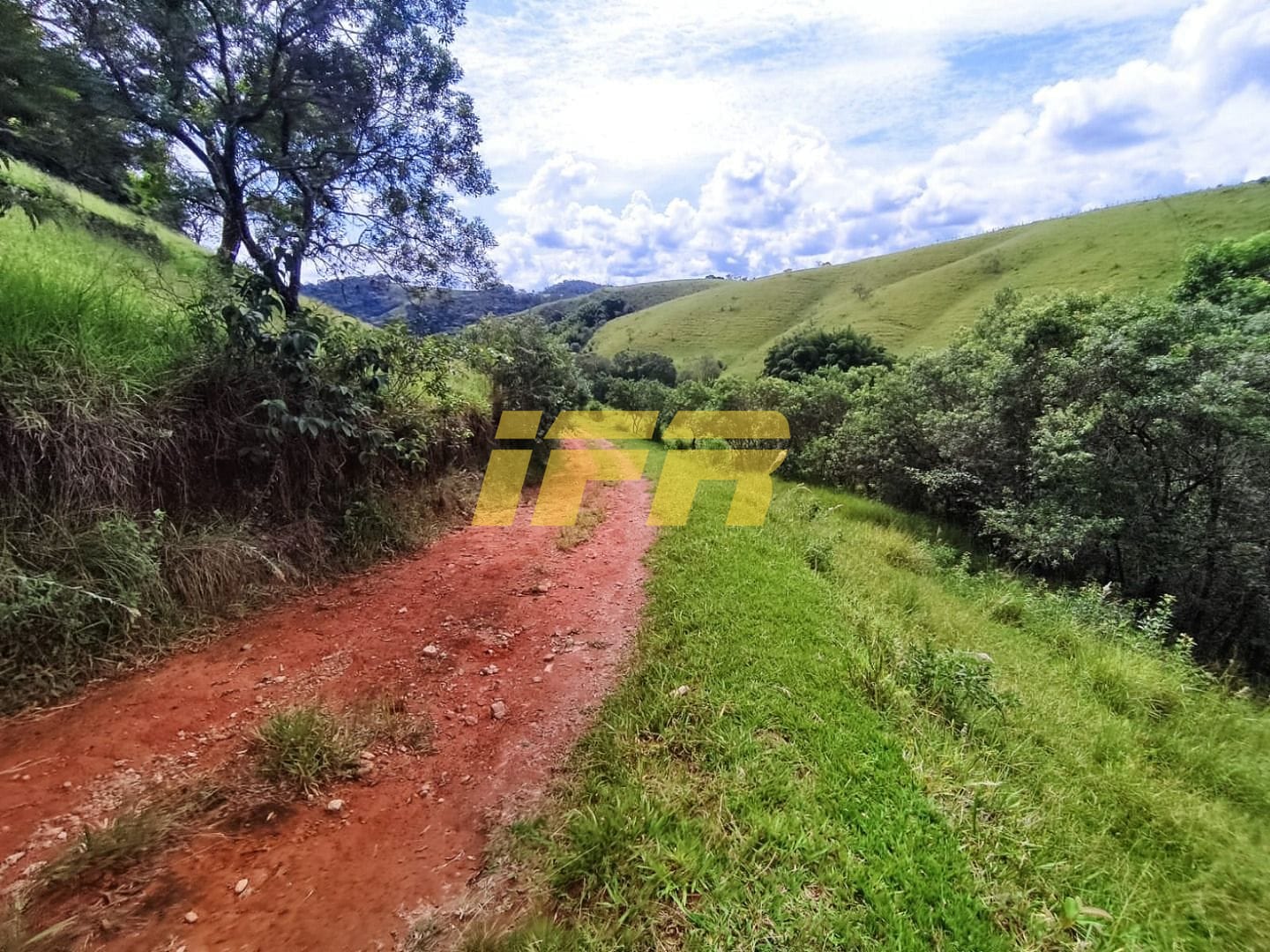 Fazenda, 46 hectares - Foto 30