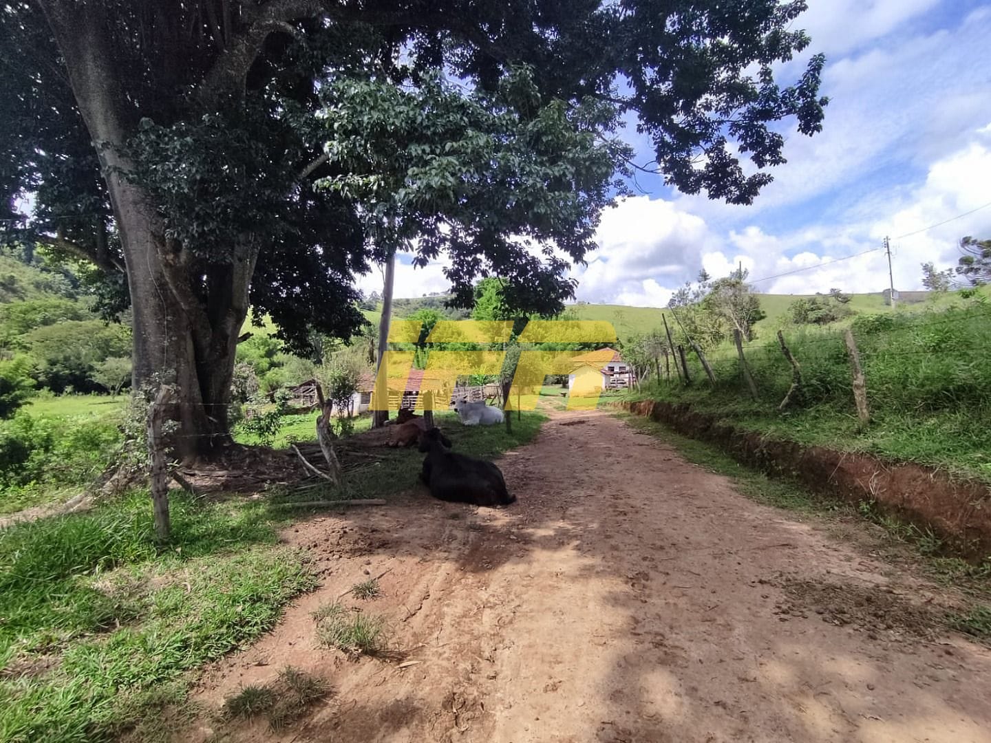 Fazenda, 46 hectares - Foto 55