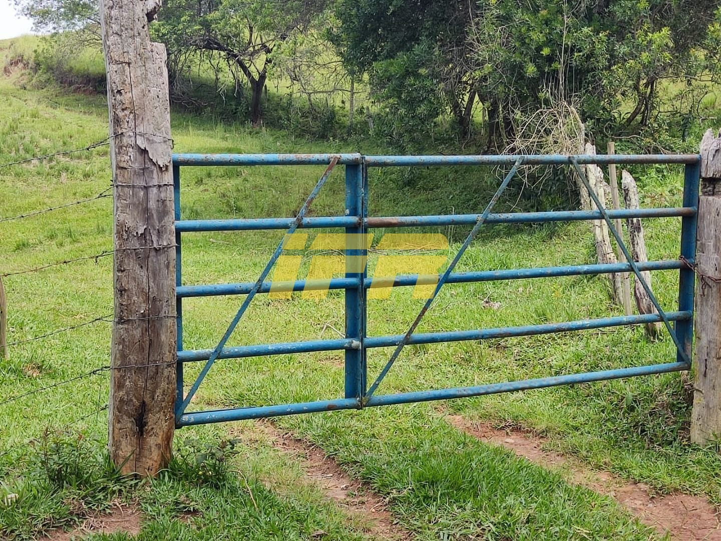 Fazenda, 46 hectares - Foto 27