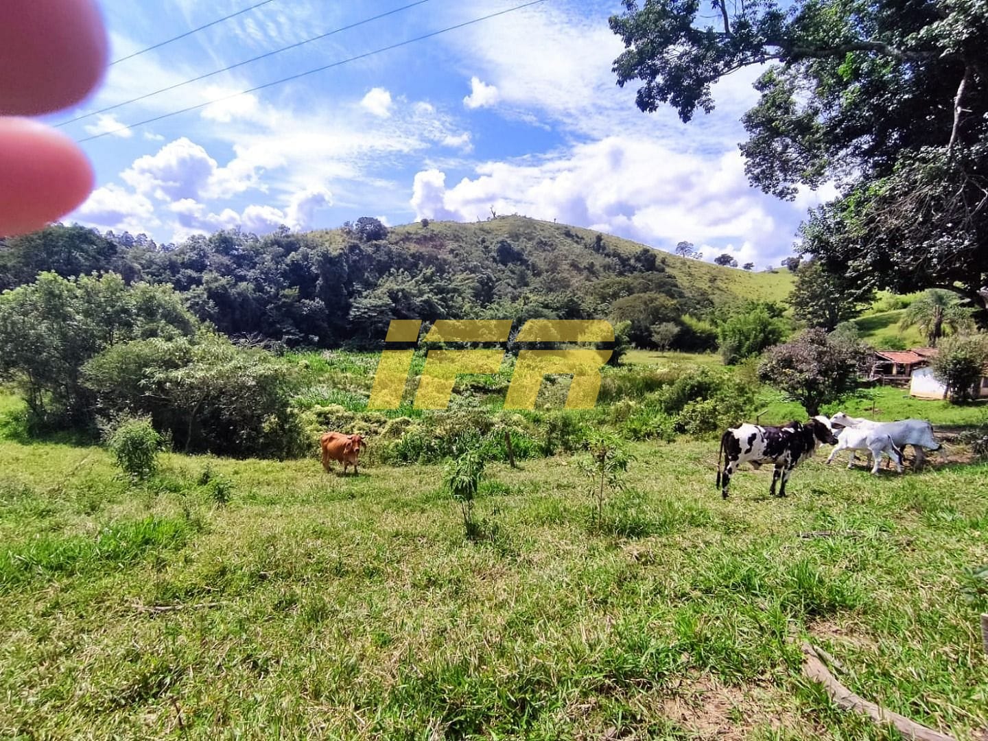 Fazenda, 46 hectares - Foto 56