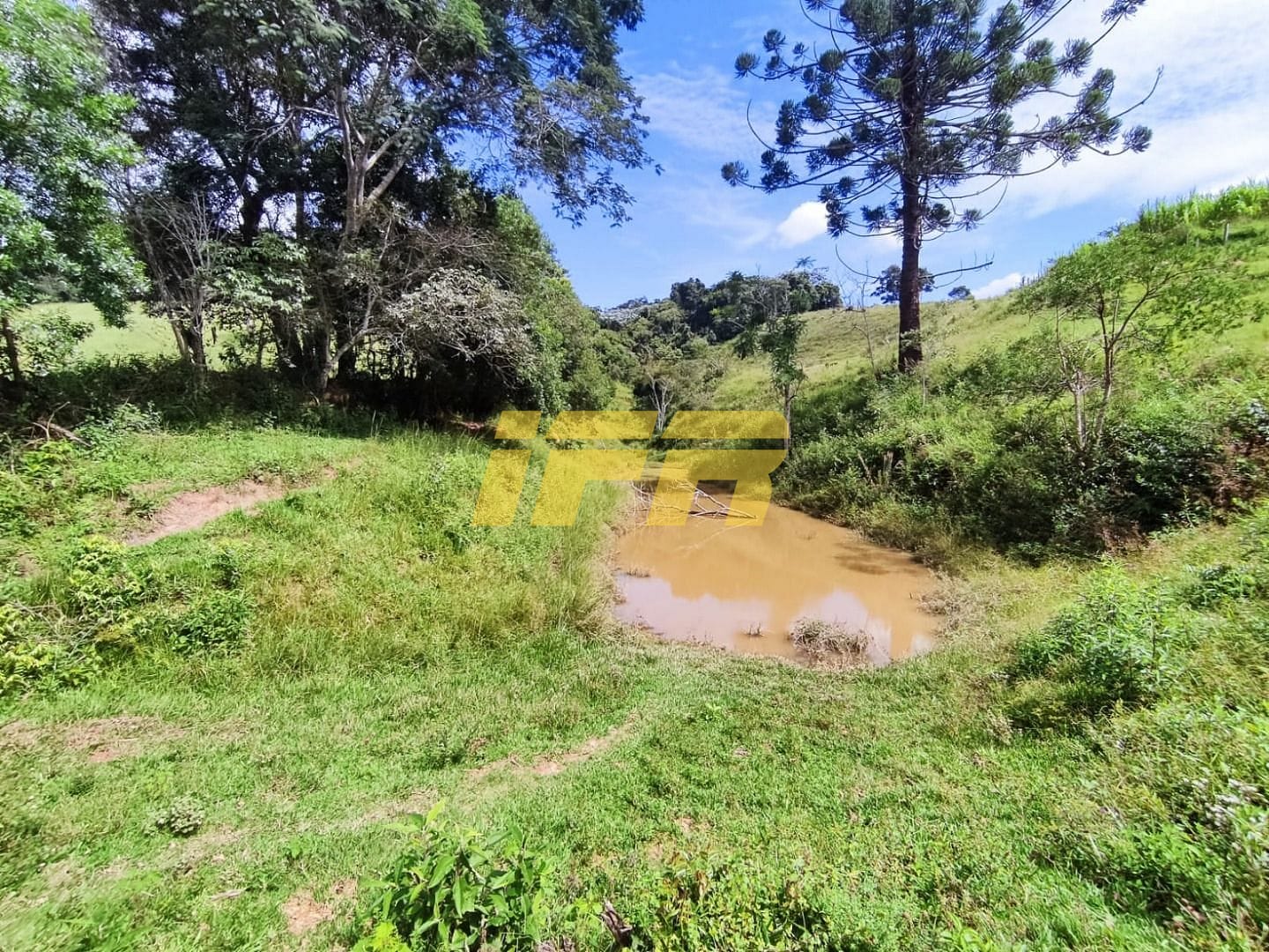 Fazenda, 46 hectares - Foto 41