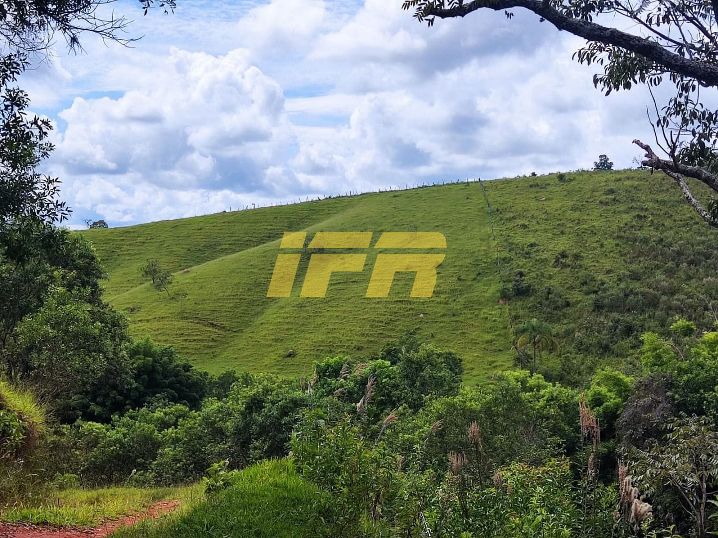 Fazenda, 46 hectares - Foto 29