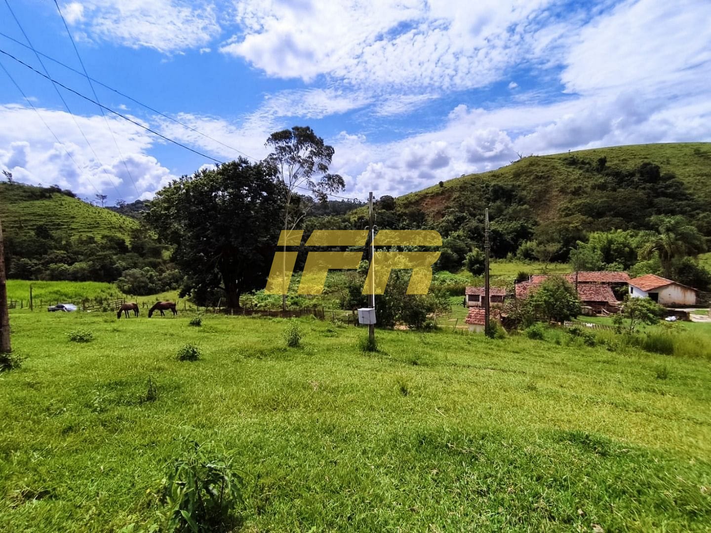 Fazenda, 46 hectares - Foto 12