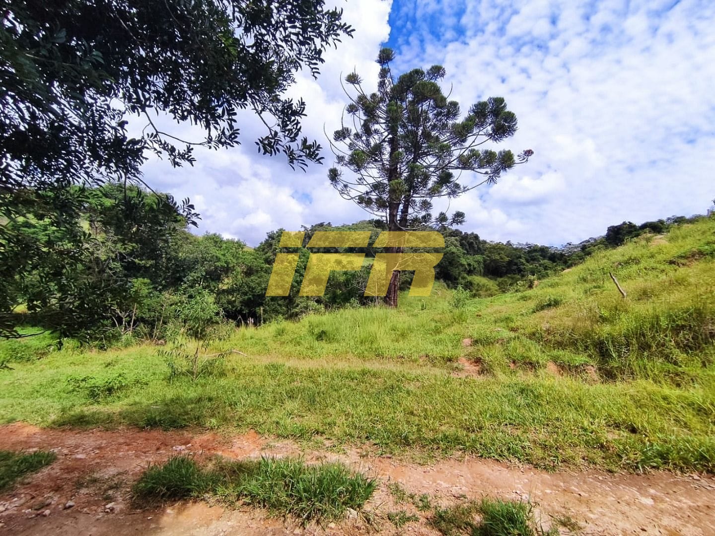 Fazenda, 46 hectares - Foto 22