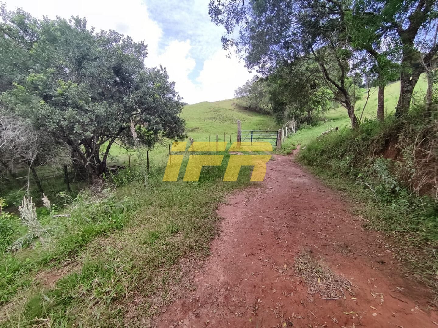 Fazenda, 46 hectares - Foto 31