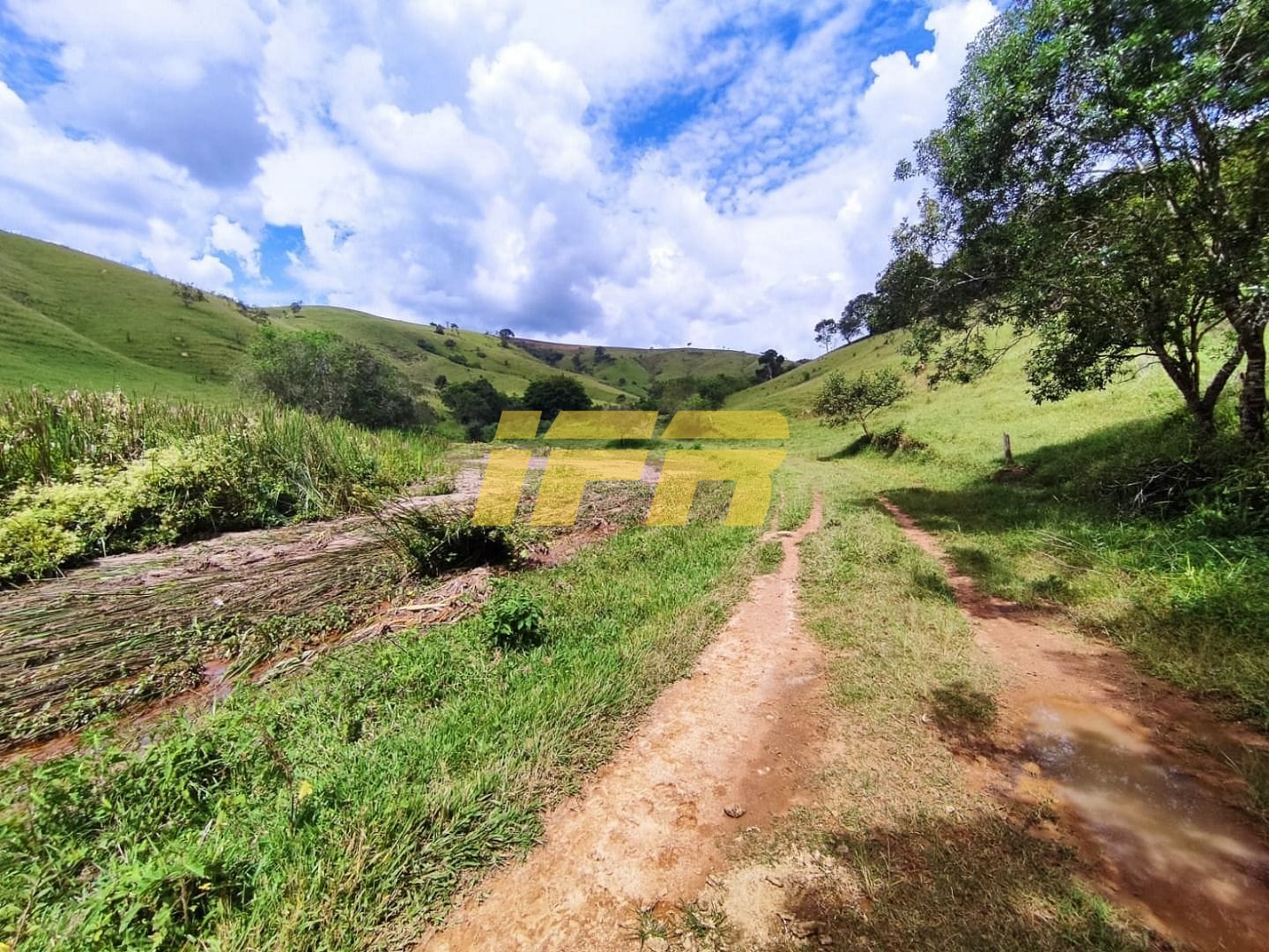 Fazenda, 46 hectares - Foto 39