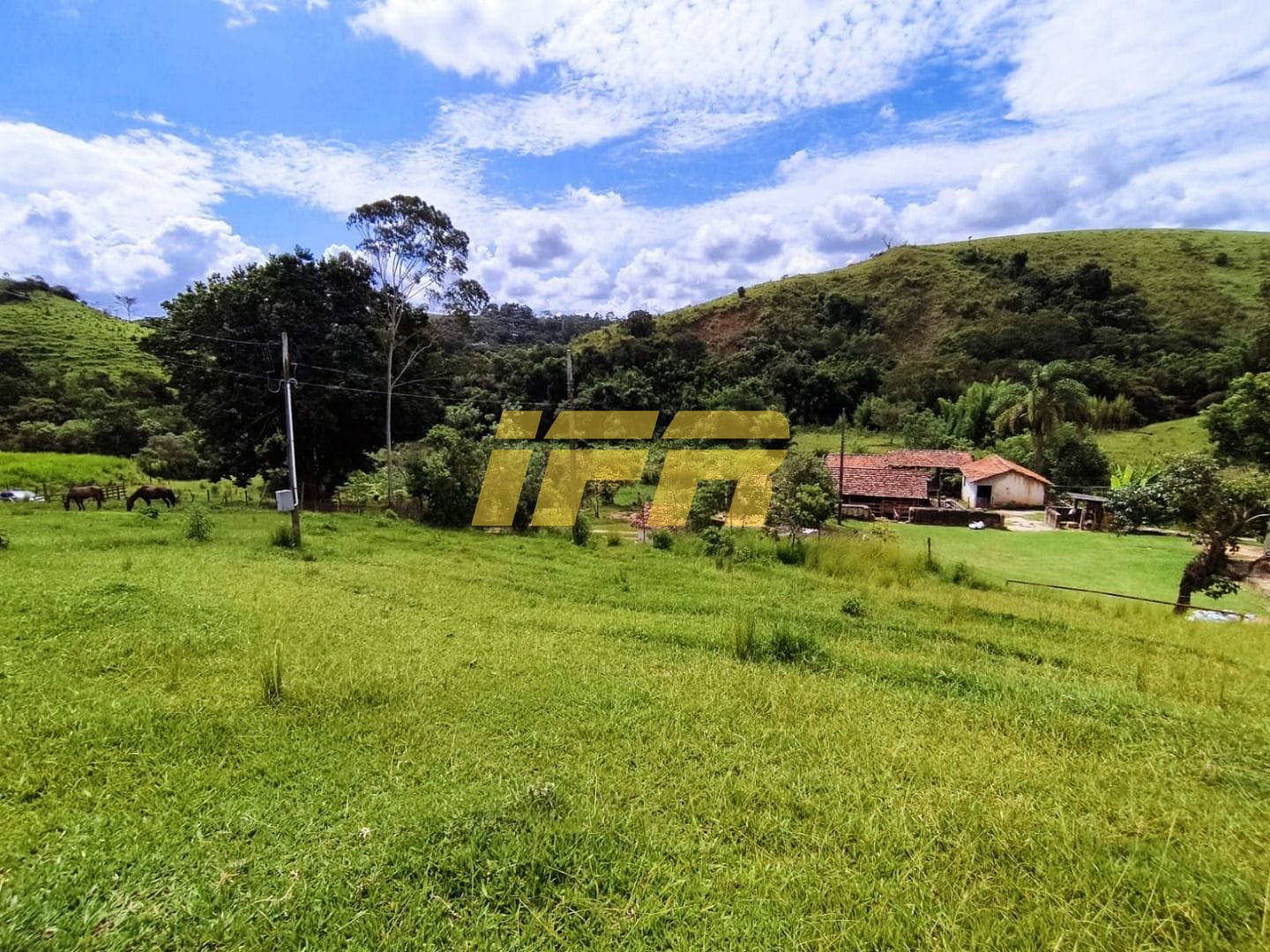 Fazenda, 46 hectares - Foto 15