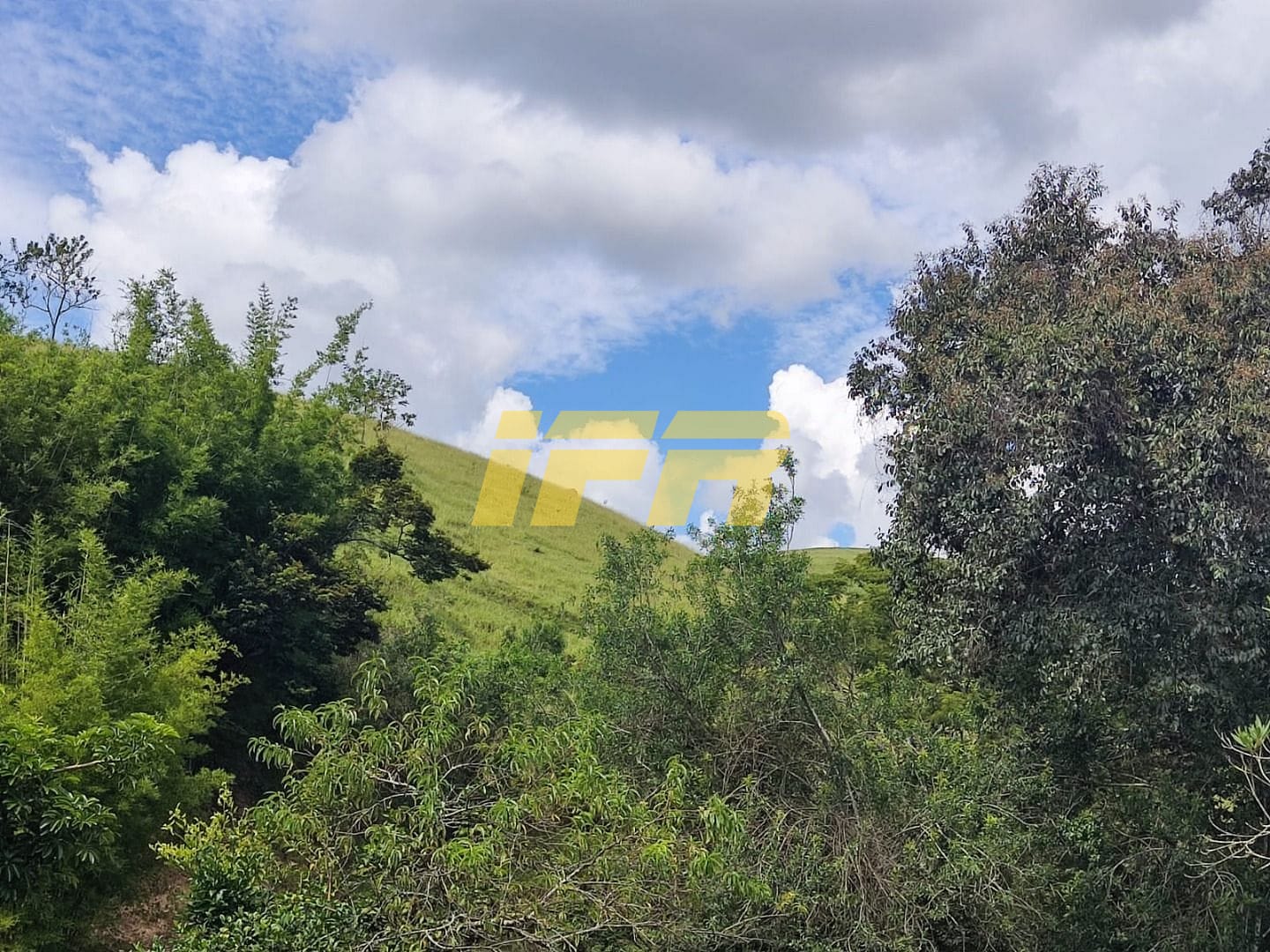 Fazenda, 46 hectares - Foto 47