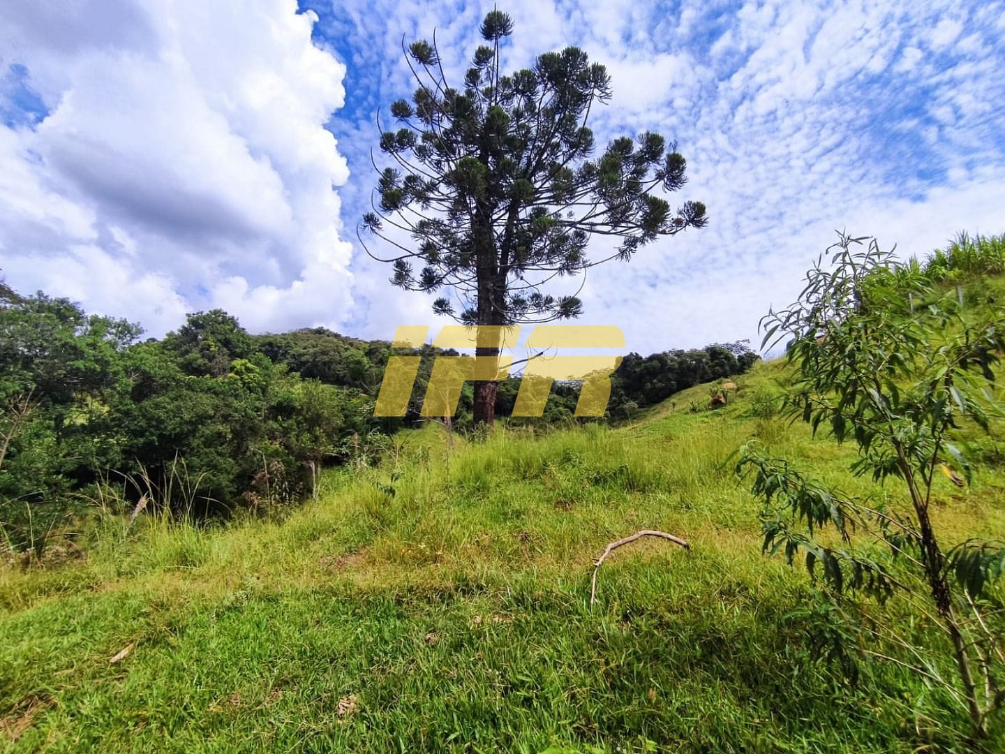 Fazenda, 46 hectares - Foto 21