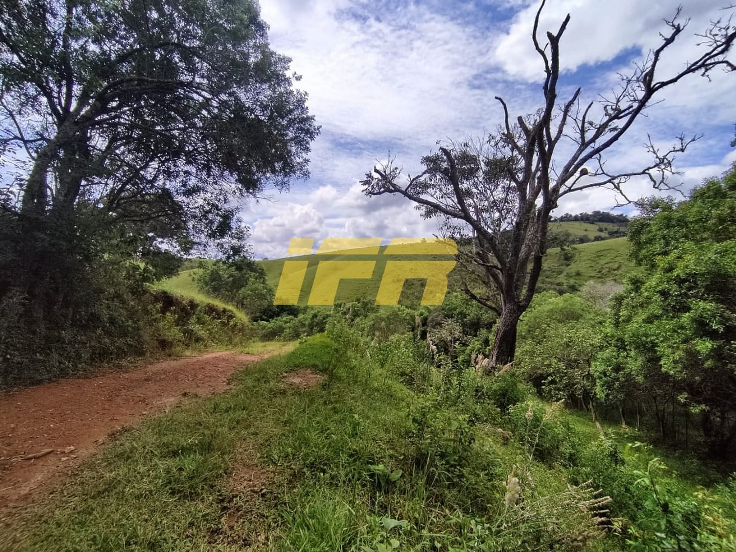 Fazenda, 46 hectares - Foto 35