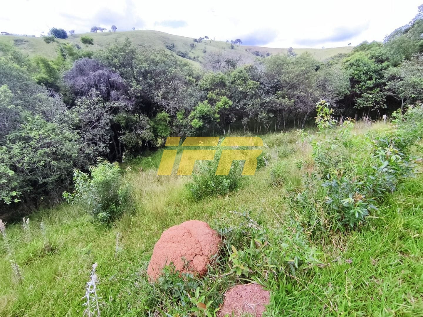 Fazenda, 46 hectares - Foto 33