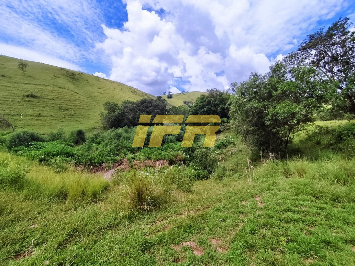 Fazenda, 46 hectares - Foto 37