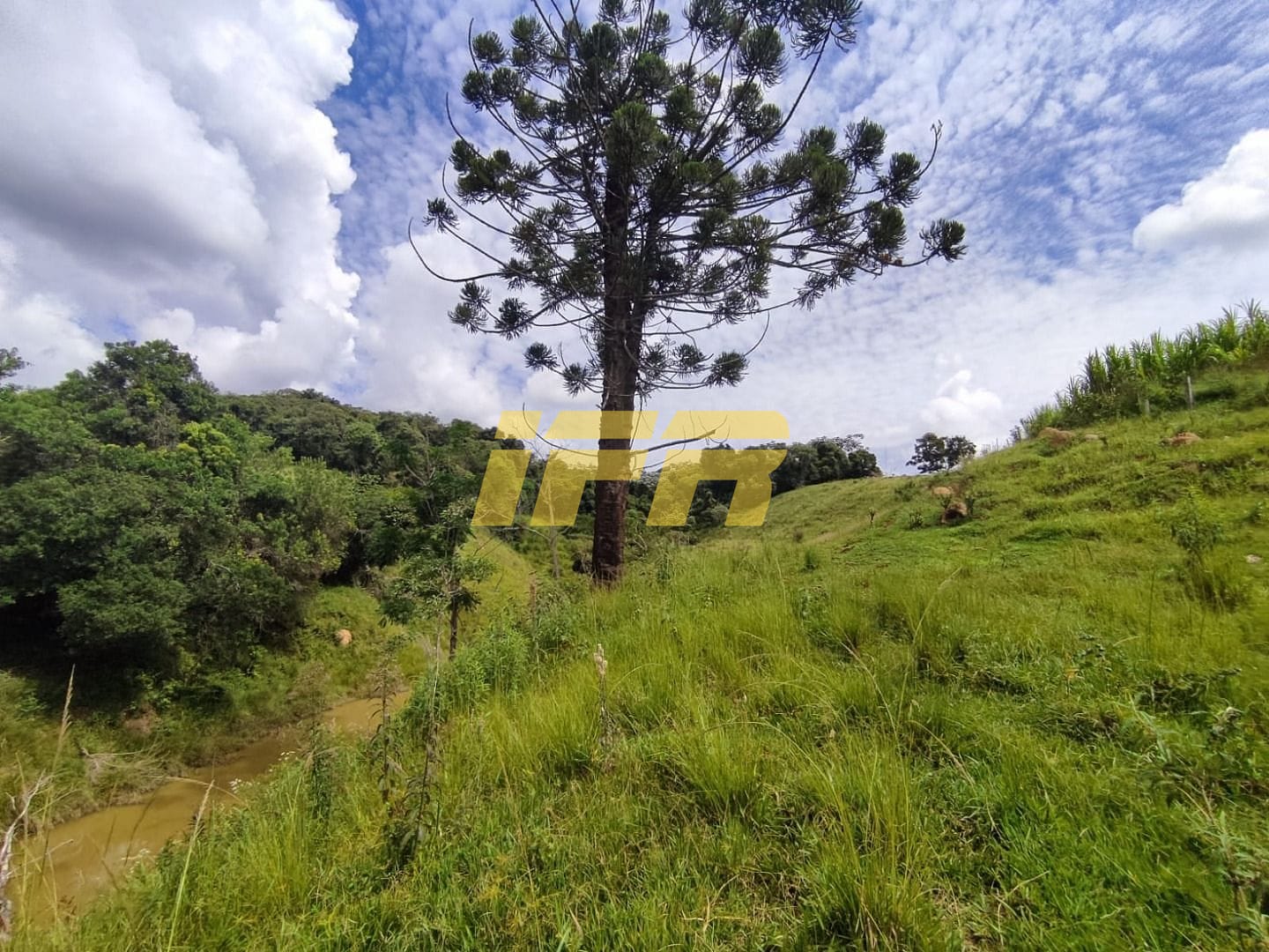 Fazenda, 46 hectares - Foto 23