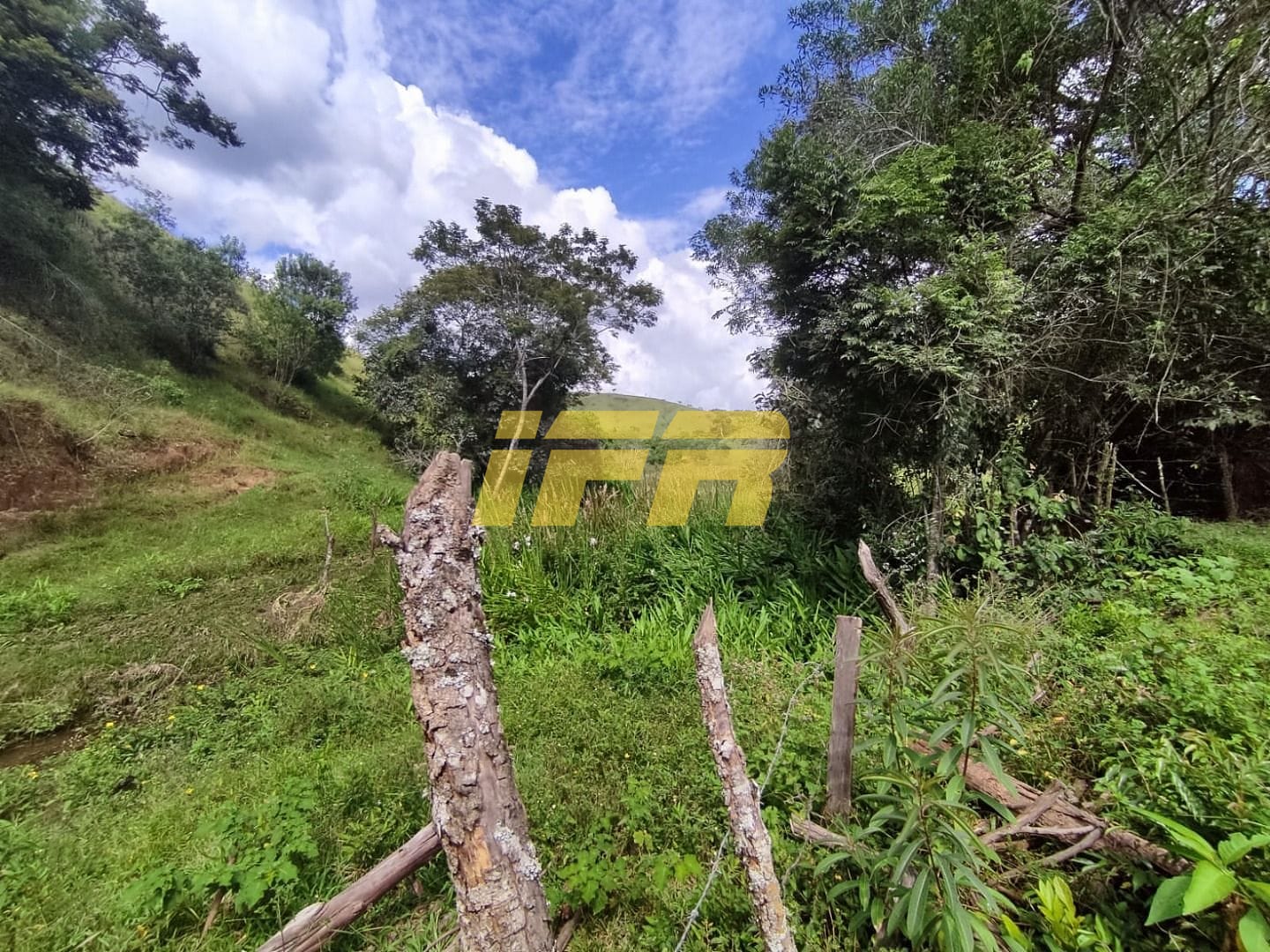 Fazenda, 46 hectares - Foto 42