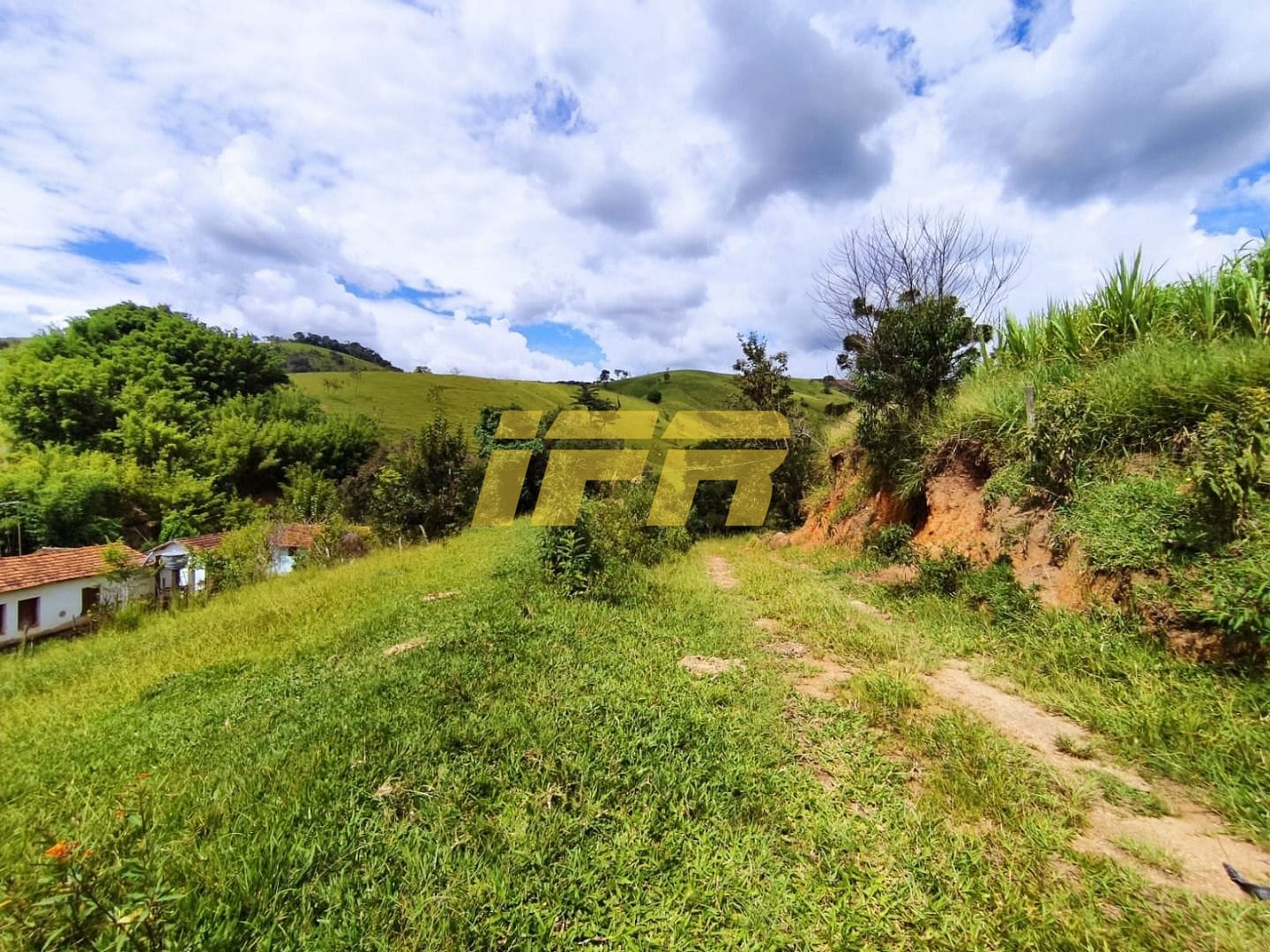 Fazenda, 46 hectares - Foto 14