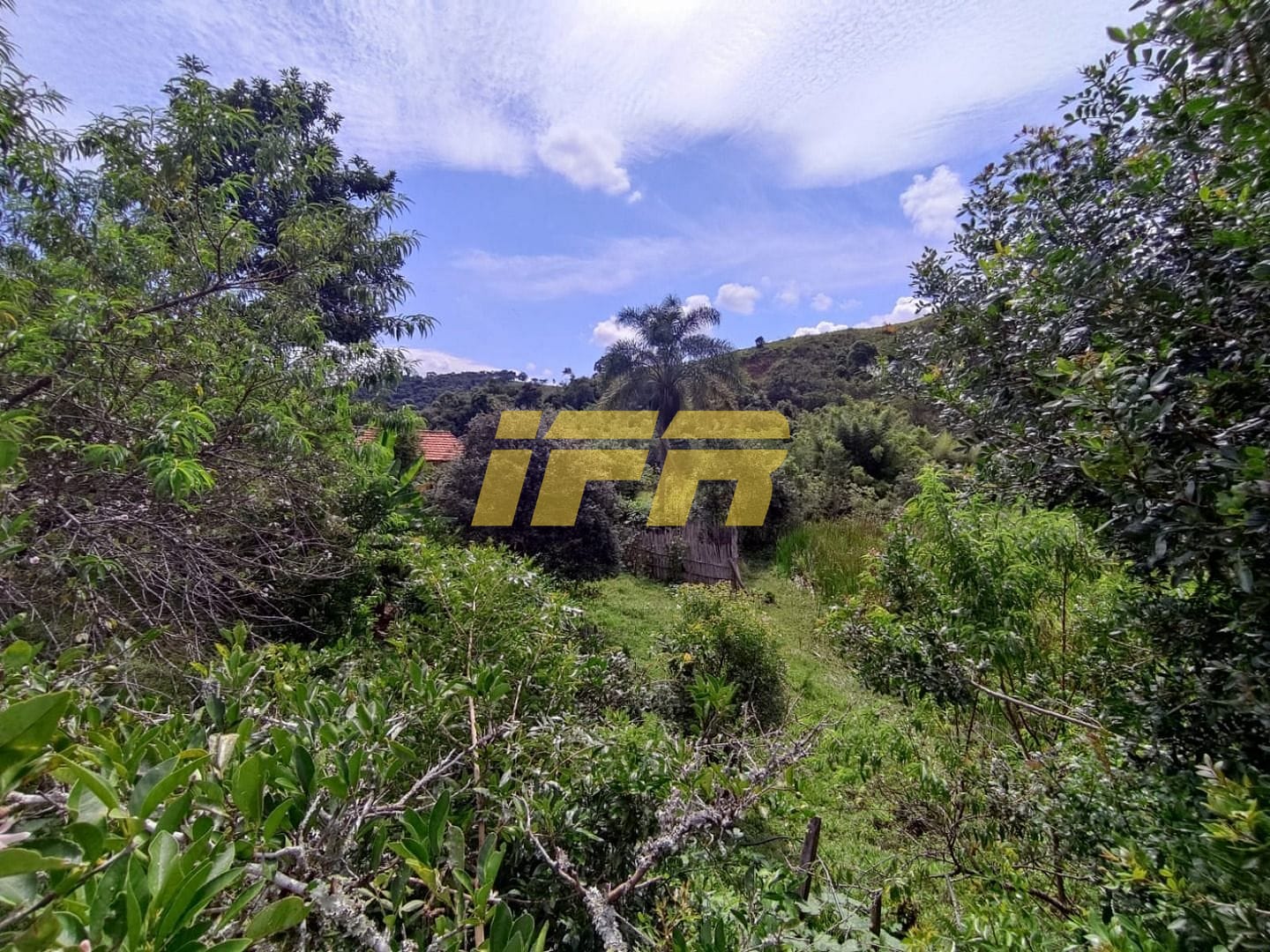 Fazenda, 46 hectares - Foto 49