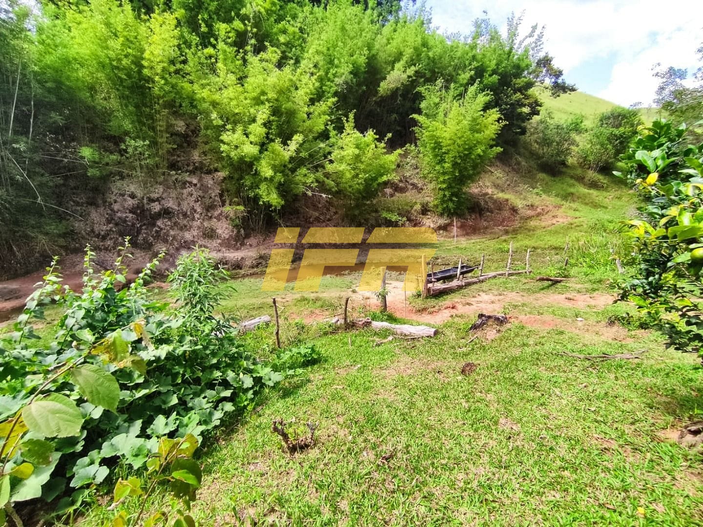 Fazenda, 46 hectares - Foto 46